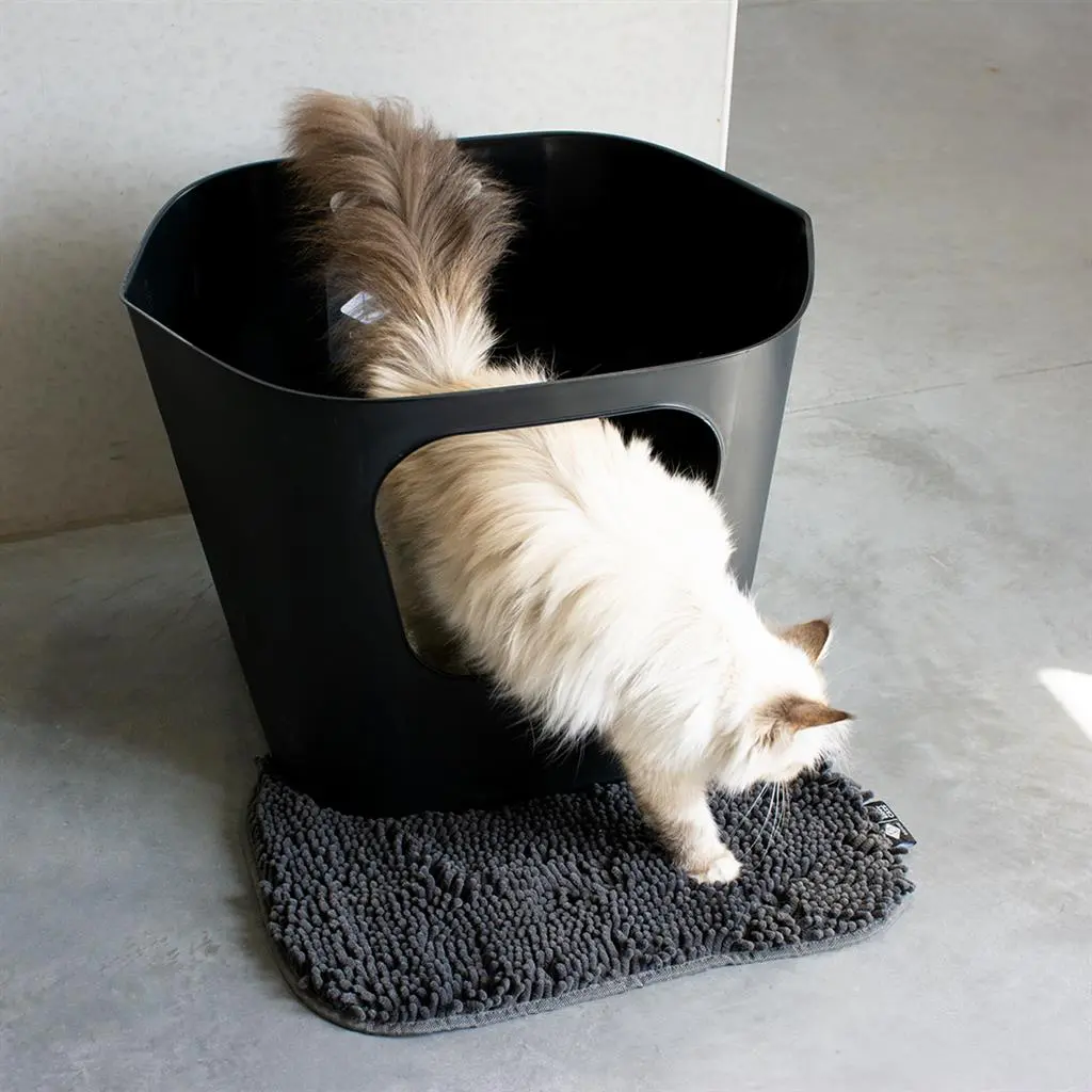 D&D CAT Kattetoilet DEAN - Stilrent - rummeligt og miljøvenligt